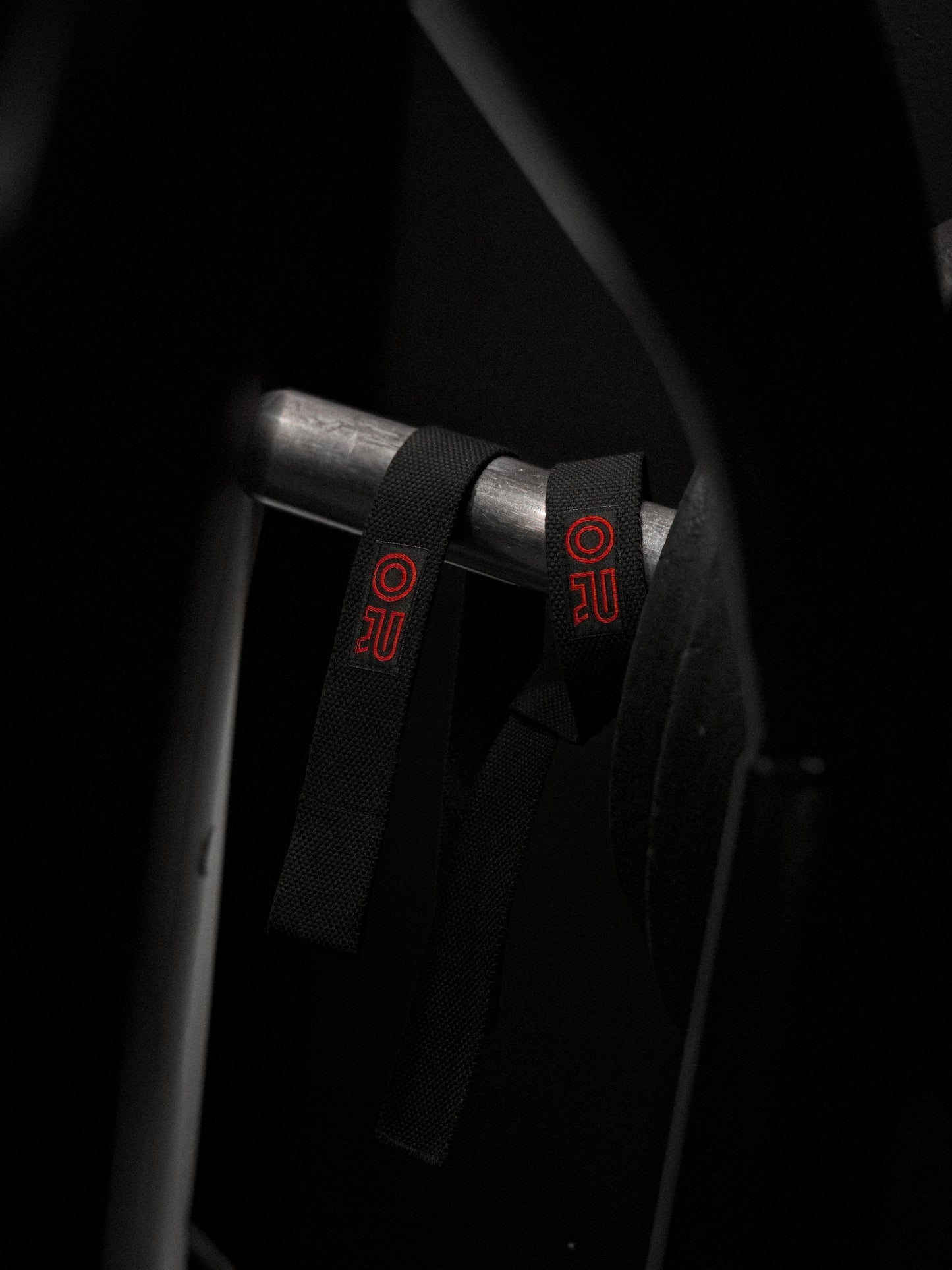 Lifting strap (2 pieces)